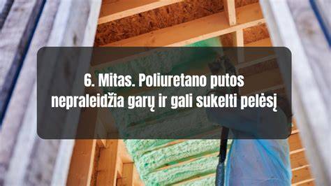 Infografika: Poliuretano putų šiltinimo vietos ir principas
