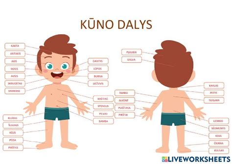 Infografika: Ugnies kontrolės įtaka evoliucinei žmogaus kūno anatomijai