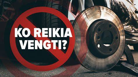 Infografika: stabdžių sistema ir jos komponentai