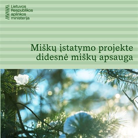 Politikai diskutuojantys miškų valdymo klausimus
