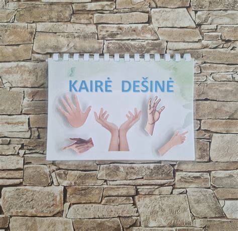 Montavimo proceso vizualizacija: kairė-dešinė eilių klojimo tvarka