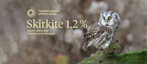 Infografika: Sniego gaudyklių tipus ir jų paskirtis