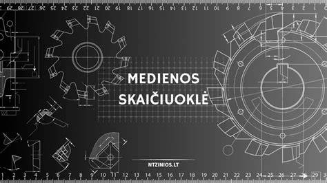 Medienos kenkėjų identifikavimo schema: ką tikrintiName: Kenkėjas, Požymiai: skylės, pjuvenos, garsai