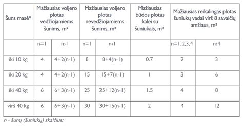 Planuojama aplikacija su matmenimis ir kompromisais
