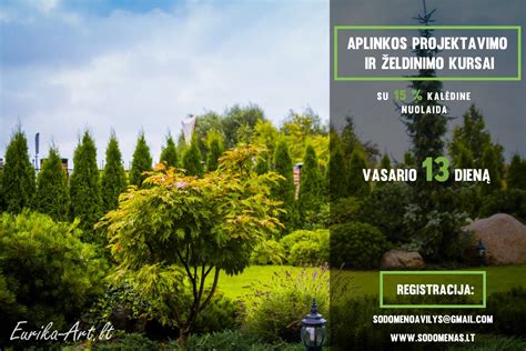 Peterio-Lammaro aikštė. Apželdinimas.