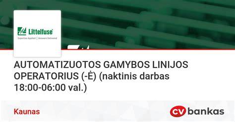 Gamybos proceso akcentai: automatizuotos linijos