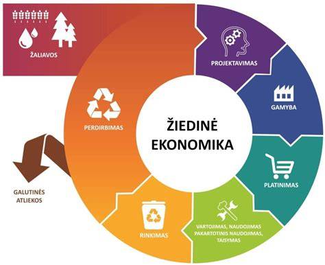 Žiedinės ekonomikos principai statybose ir medienos panaudojimas