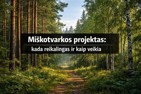 Infografika: kaip veikia termošokas ir kada kylančios temperatūros svarba