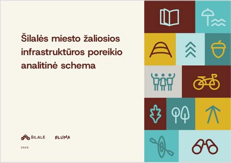 Infografika: klinkerio įrankių poreikio ir naudojimo schema