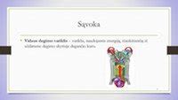 Infografika: pirštinių tipų palyginimas (medžiaga, atsparumas, sudedamosios dalys, taikymo sritys)