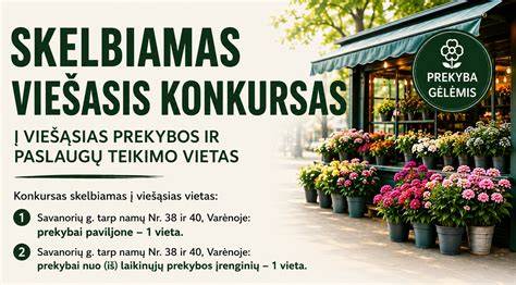 Kontaktų ir paslaugų teikimo kelias