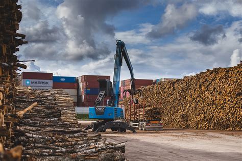 Medienos sandėliavimas