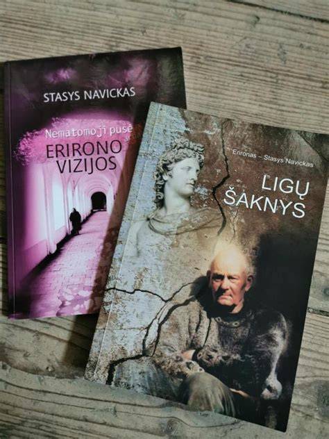 Kapavietės skaldos pavyzdinės vizijos arba schemos