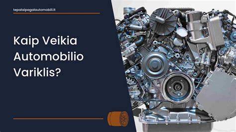Infografika: Kaip veikia alyvos įsiskverbimas į medieną