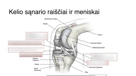 Diagram: kelio dangos sluoksnių konstrukcija ir jų atsparumas apkrovoms