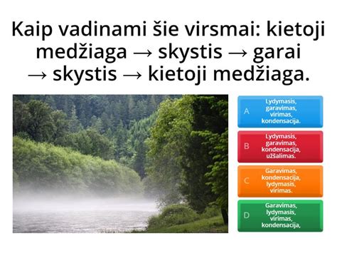 Infografika: Medžių tipų porūšiai ukulėlėms ir jų savybės