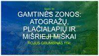 Gamtinės apsaugos zonos ir išorinės reklamos ribojimai schematiškai