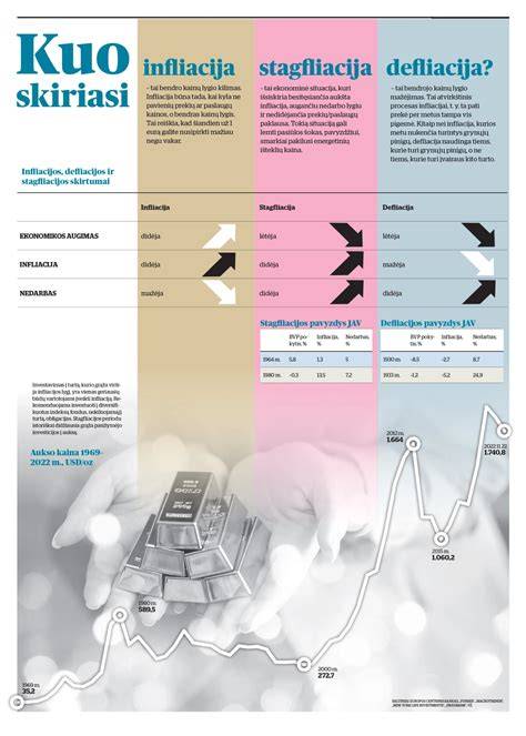 Infografika: Paslaugų kainų komponentai ir laikai