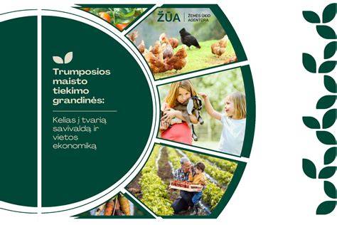 Infografika: Hidroizoliacijos grandinės komponentai ir taikymo vietos