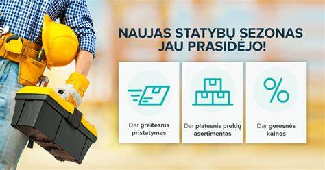 Infografika: įrankiai ir darbo priemonės statybose