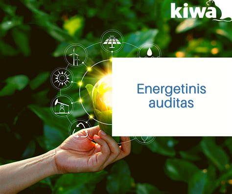 Energetinis auditas ir šilumos taupymo schema