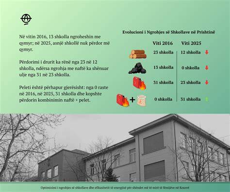 Infografika: galimi židinio įrengimo variantai daugiabučiuose