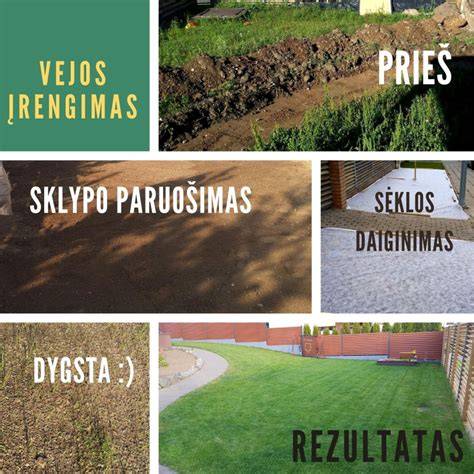 Vizualinė iliustracija: vejos bortelių įrengimas ir skirtingi matmenys