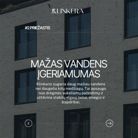 Infografika: fasadų apdailos medžiagų palyginimas pagal atsparumą klimatui ir kainą