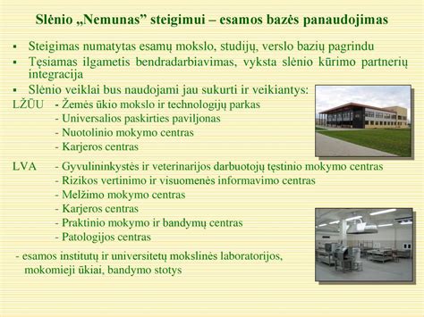 Skystų vinių panaudojimas