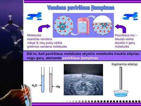 Infografika: kaip veikia garų valymas be chemikalų