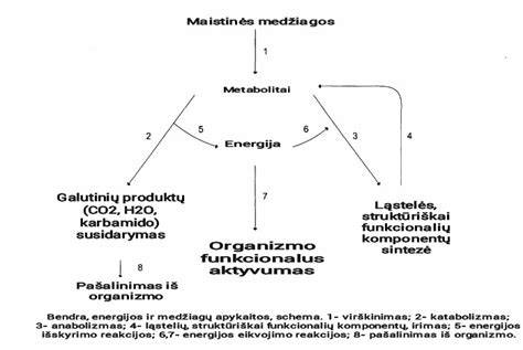Gamybos kokybės ir medžiagų įvairovė iliustruojanti schema
