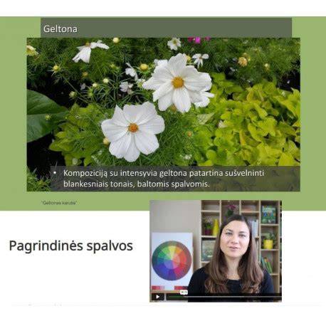 Ryškių spalvų pergolė kieme - pavyzdinis šio straipsnio vizualinis akcentas