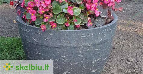 betoniniai vazonai iš faneros