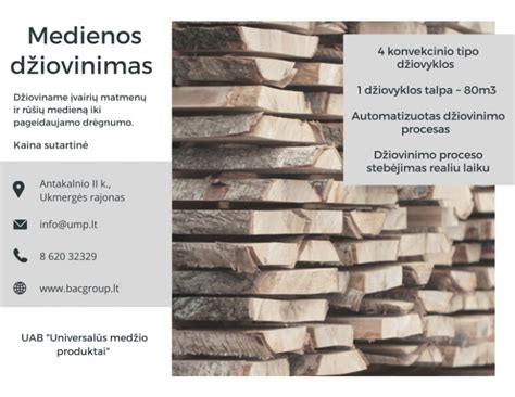 Infografika: Medienos apdirbimo proceso užduotys (džiovinimas, impregnacija, dažymas, alyvavimas, lakavimas)