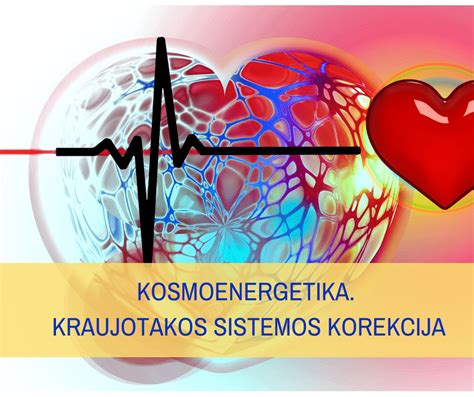 Malpigijaus vamzdelio ir kraujotakos schemą iliustruojanti infografika