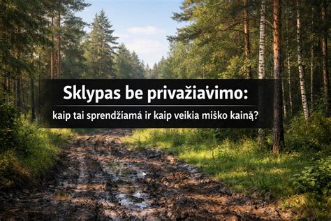 Drėgmės įtaka pjovimui: savybės ir sprendimai