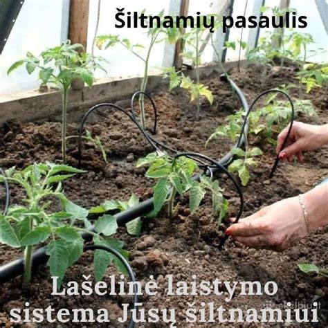 GreenClick šiltnamio profilių sistema