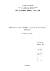 Pelėsių augimo rizikos ir valymo principai