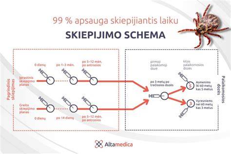Grafikas: Laminato sluoksnių schema