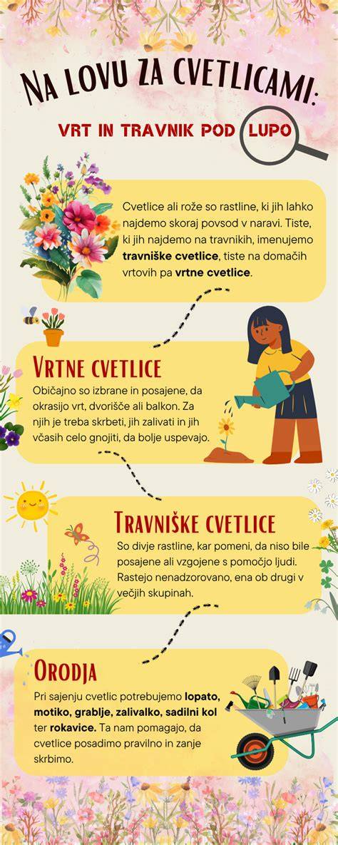 Infografika: kapiliarinės drėgmės kilimo mechanizmas medienoje