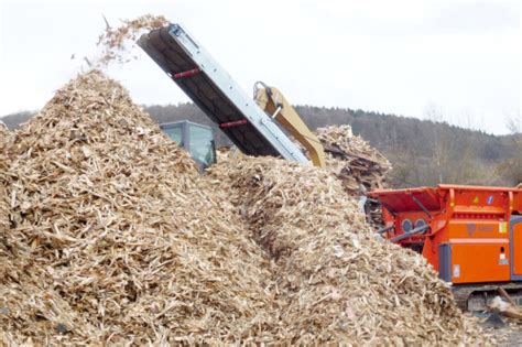 Medienos biokuro gamyba