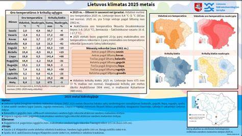 Klimatas cementinei gamybai infografika
