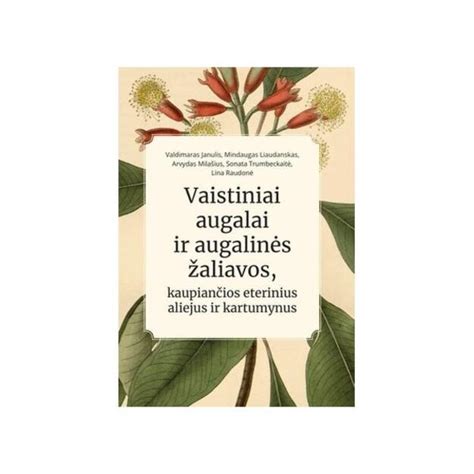 Vaizdas: Marmoleum sudėtis ir žaliavos