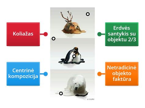Įvairaus formato vizualiniai elementai, skirti socialiniam turiniui (infografika apie paskyros valdymą)