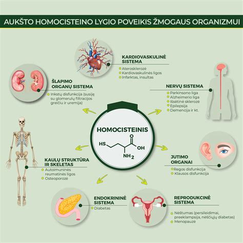 infografika_silikatai_ir_aktybetonas.png