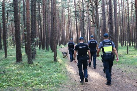 schematas: tinko sluoksnių įdėjimo eiliškumas