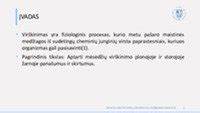 Virškinimo fermentų vaidmuo plonojoje žarnoje schematiškai