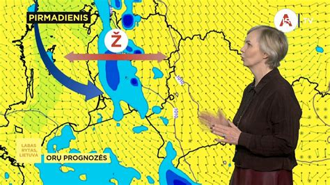 Ilgiaamžiskumo diagrama: beasbestinio šiferio eksploatacijos trukmė iki 70 metų