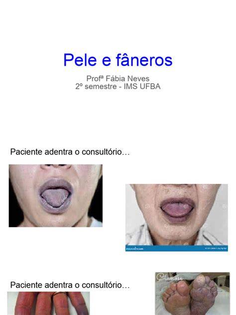 Faneros aklimatizacijos grafikas