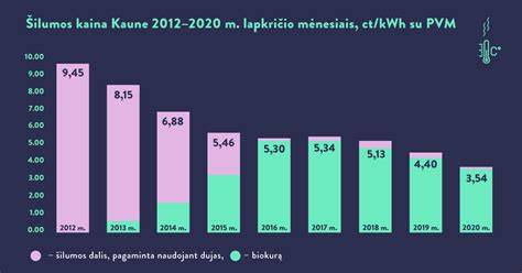Faneros nauda vizualiai: kukli kainos strukturos diagrama